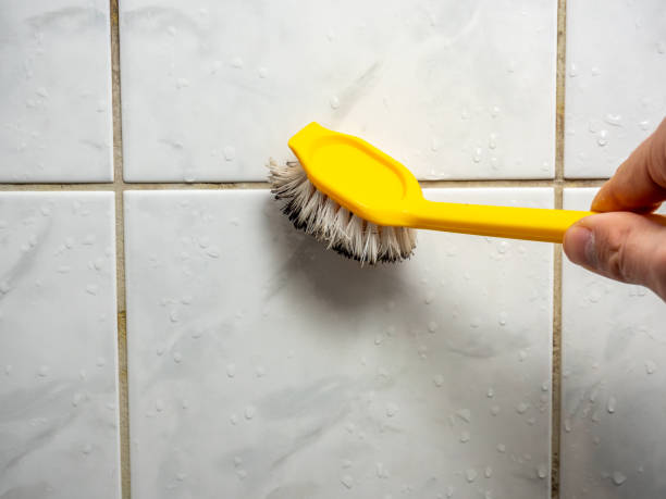 Best Mold Remediation  in Muncie, IN