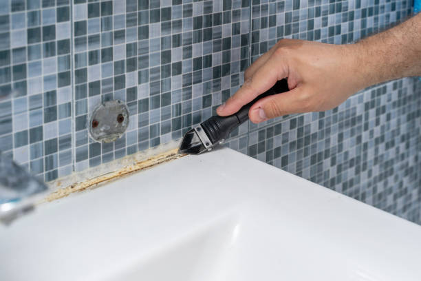 Best Mold Testing and Removal  in Muncie, IN
