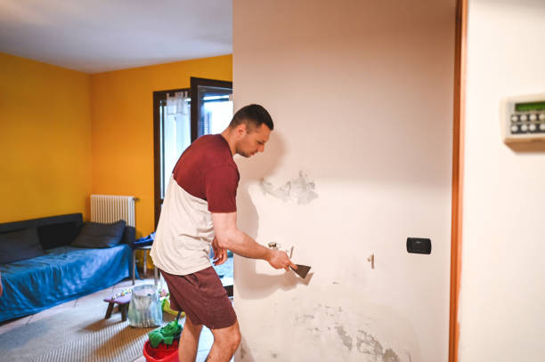 Muncie, IN Mold Removal Company